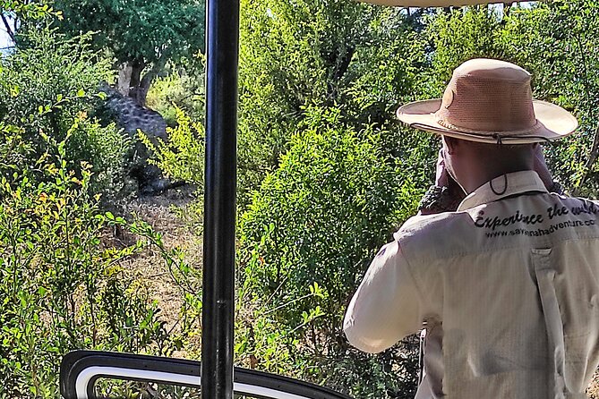 Safari and High Tea Game Drive in Victoria Falls - Booking Information