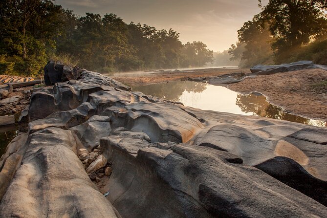 Safari in Bandhavgarh, Kanha, Pench & Tadoba National Parks - Cancellation Policy Guidelines