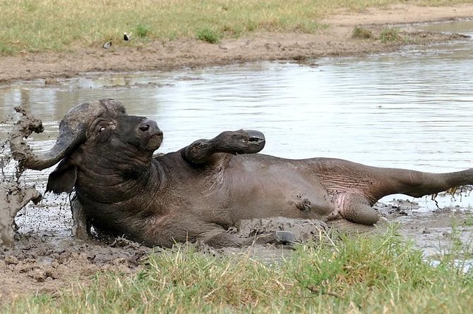 Safari Zimbabwe and Botswana - Cancellation Policy Details