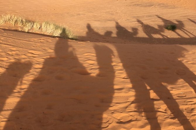 Sahara Private Tour of Mhamides 2 Nights 3 Days - How to Secure Your Reservation