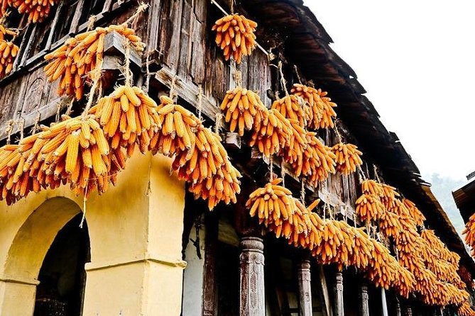 Sainji | Corn Village Tour - The Sum Up