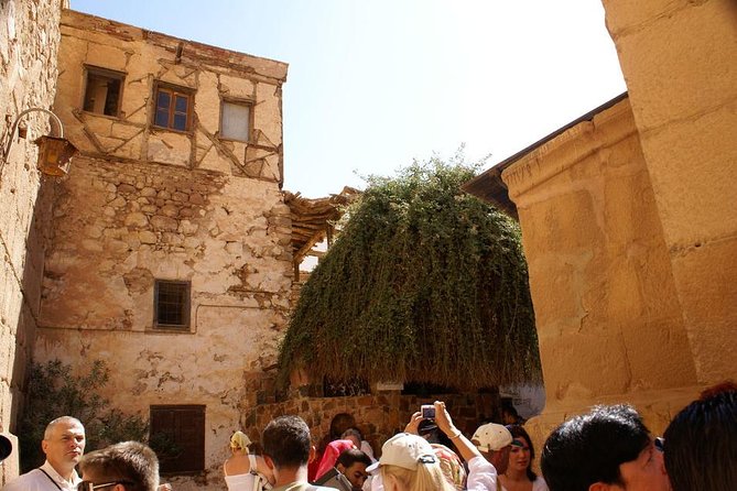 Saint Catherine Monastery by Bus & City Tour in Dahab With Lunch-Sharm El-Sheikh - Operator Details
