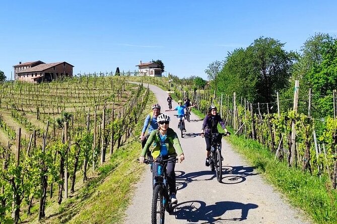 Saint Emilion Private E-Bike Winery Tour With Picnic Lunch - Safety Precautions