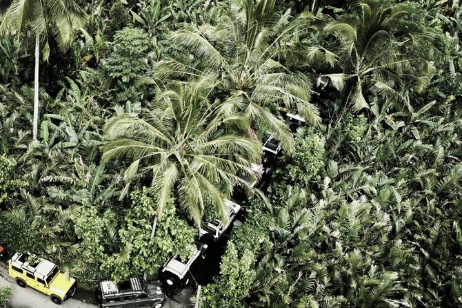 Salak Plantation Tour By Jeep - The Sum Up