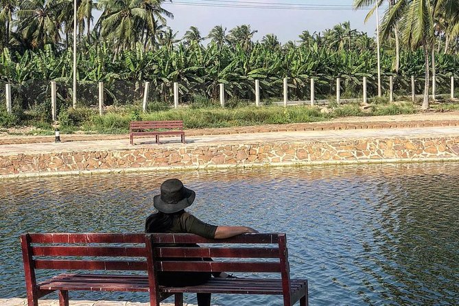 Salalah City Tour (Half-Day Tour) - Booking Information
