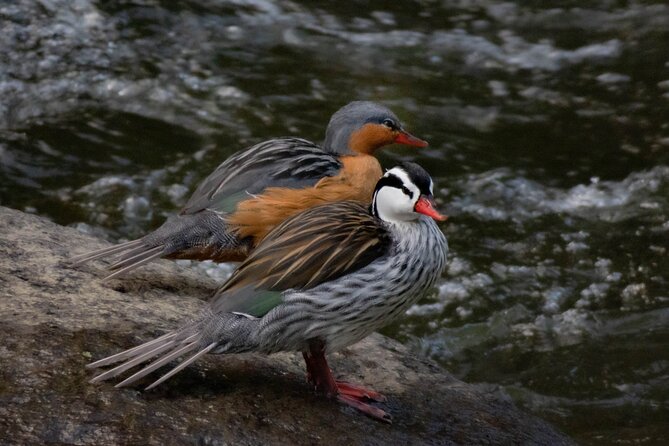 Salento: Birding by the River - Cancellation Policy
