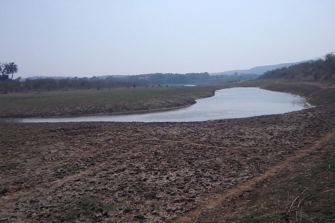 Same Day Jeep Safari For Blackbuck At National Chambal Sanctuary From Agra - Optional Lunch Add-On