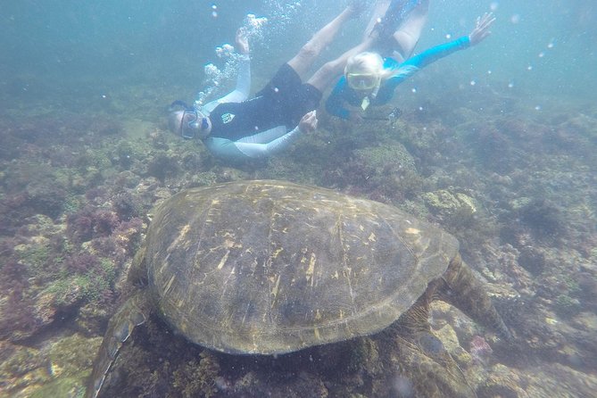 San Cristobal & Santa Cruz- 5 Days - Frequently Asked Questions