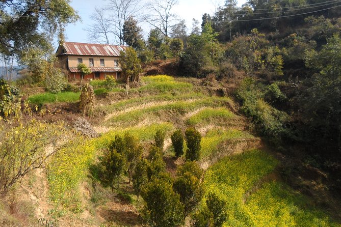 Sanga to Panauti Community Hike With Stop at Tallest Shiva Statue of the World - Directions and Logistics