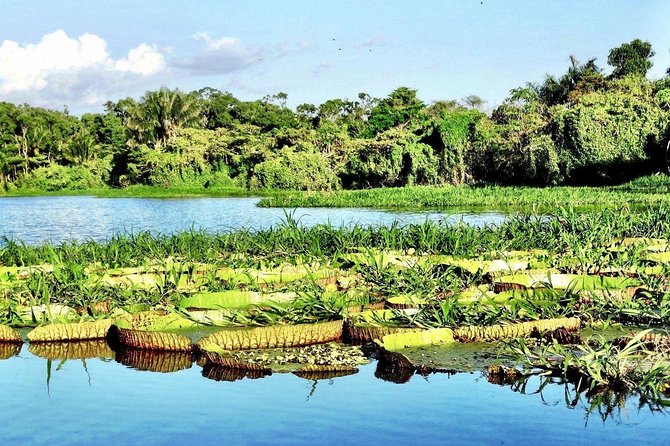 Santarém Maica Lake Tour - Tour Description