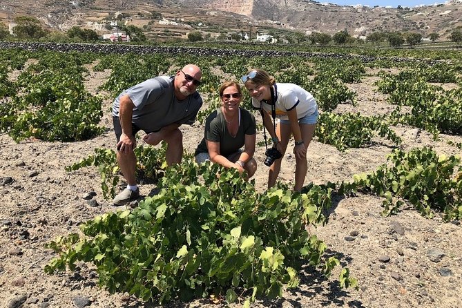 Santorini Highlights and Wine Private Tour - Frequently Asked Questions