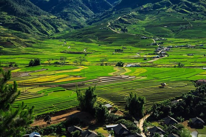Sapa Tour 2days Trekking Ta Van & Cat Cat Village - What to Expect