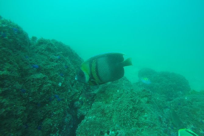 Scuba Diver Certification - Scuba Diver Certification Duration