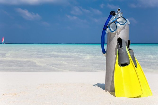 Scuba Diving in the Red Sea - Tour Accessibility Information