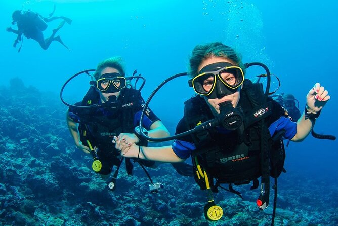 Scuba Diving Tour and Experience in Alanya - Pickup Details