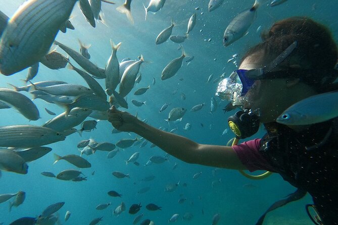 Scuba Diving Tour With Lunch in Alanya - Weather and Travel Requirements