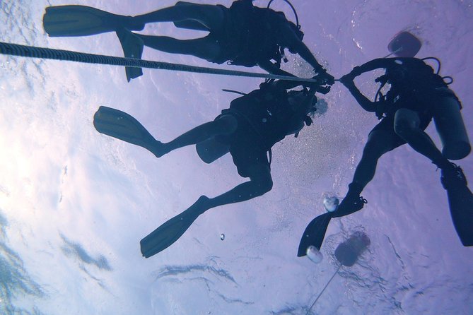Scuba Try Dive - PADI Discover Scuba Diving DSD in Kota Kinabalu, Malaysia - Customer Reviews