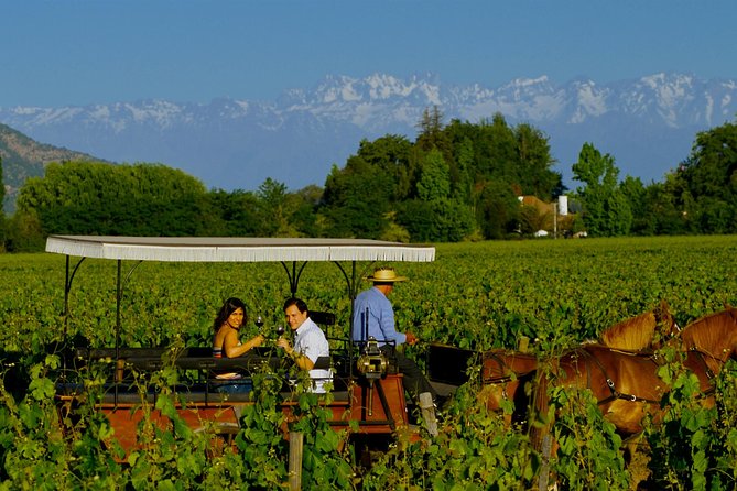Self Drive Experience in Colchagua Valley, 4 Days - Booking and Cancellation Details