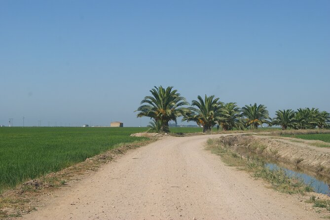 Self-Guided Bike Tour Around Doñana From Seville - Pricing and Availability
