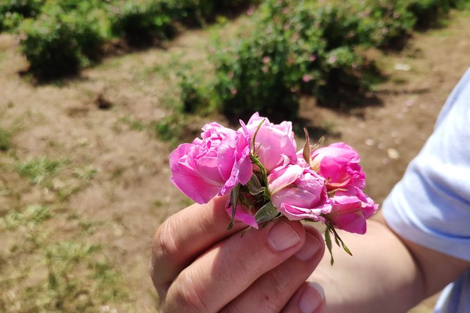 Self-Guided Tour in the Museum of Roses - Inclusions