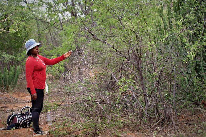 Self-Guided Trails With Bush Braai and a Movie - Frequently Asked Questions