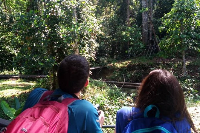 Semenggoh Orangutan With Rainforest Kayaking From Kuching - Pricing