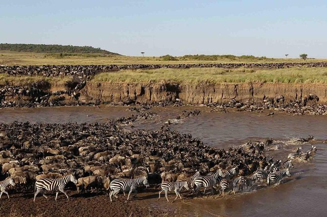 Serengeti 4 Days Safari Tanzania - Booking Confirmation and Requirements