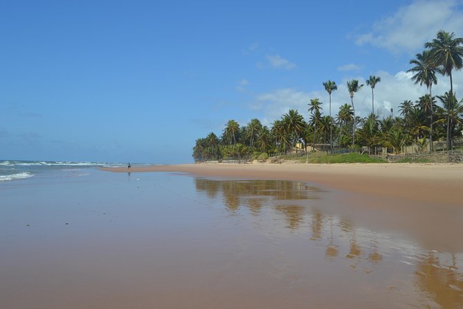 Serenity Shore Stroll Jauá Beach, Visit a Hidden Gem. - Tour Inclusions and Amenities