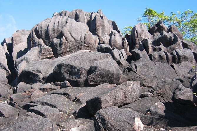 Seychelles Family Holiday Package 7d/6n - Dining Experiences