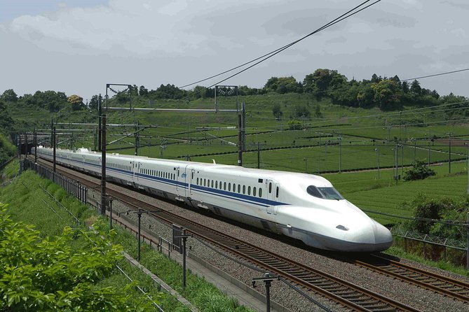 Shanghai Train Station Private Arrival Transfer to Hotel in English Services - Service Inclusions