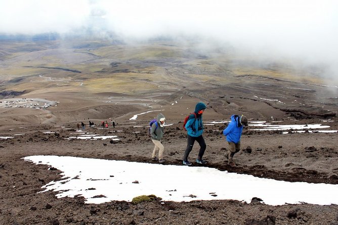 Shared Cotopaxi National Park Tour From Quito - Recommendations for Participants