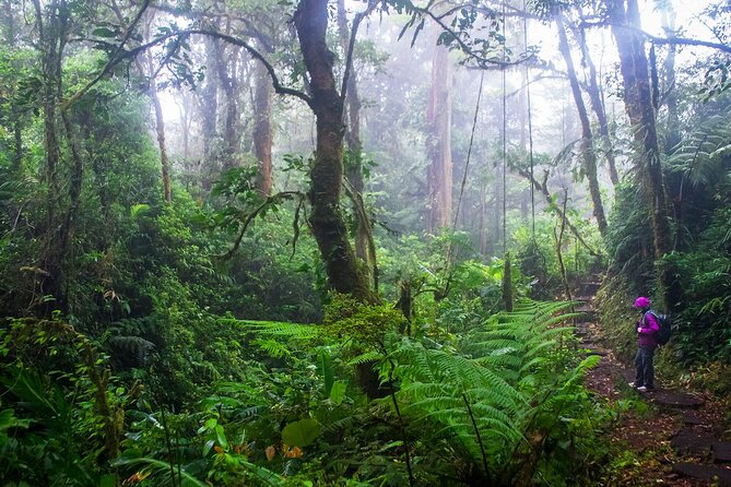 Shared Shuttle San Jose to Monteverde - The Sum Up