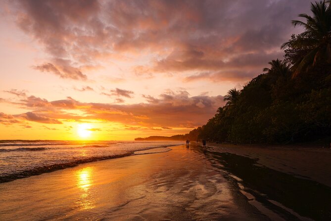 Shared Shuttle San Jose to Tamarindo - Included Amenities and Services