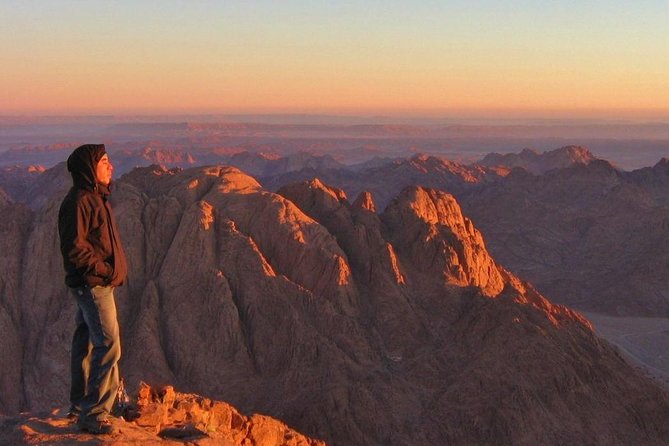 Sharm El Sheikh: Mount Sinai Sunrise Hike & Monastery Visit - Operator