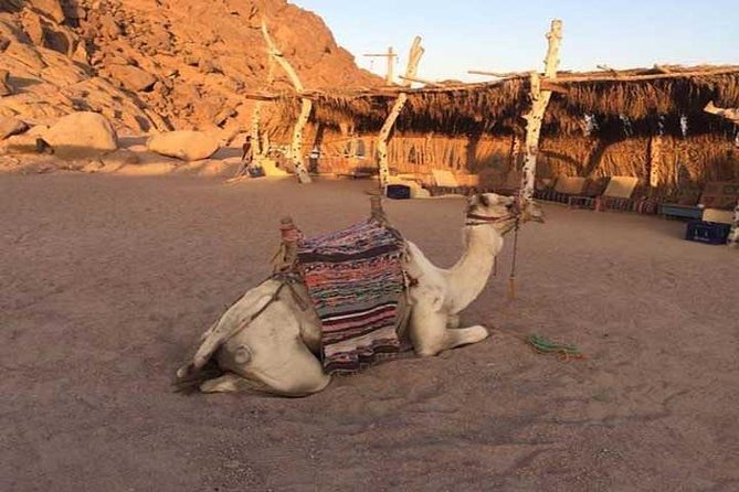 Sharm El-Sheikh : Quad Bike & Desert Safari Adventure With Transfers - Pricing and Cancellation Policy