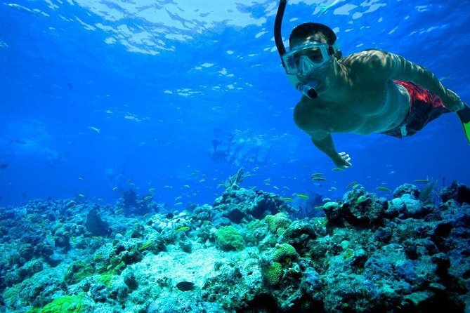 Sharm El-Sheikh: Snorkel & Camel Safari at Blue Hole - Itinerary Details