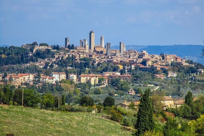 Shore Excursion From Livorno to Chianti Area With Wine Tasting & Lunch - Pricing Details and Lowest Price Guarantee