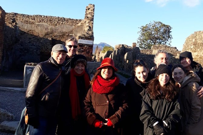 Shore Excursion to the Excavations of Herculaneum (2 Hours) - Pricing and Booking Information