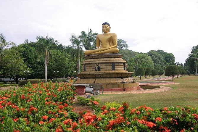 Shore Excursions Port Passenger Terminal to Colombo Wetland Tour. - Cancellation Policy