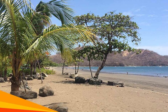 Shuttle From San Jose Airport To Tamarindo Guanacaste - Reservation Process and Payment Options