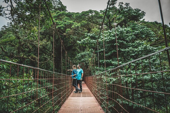 Shuttle Service From San Jose To Monteverde - Accessibility Features