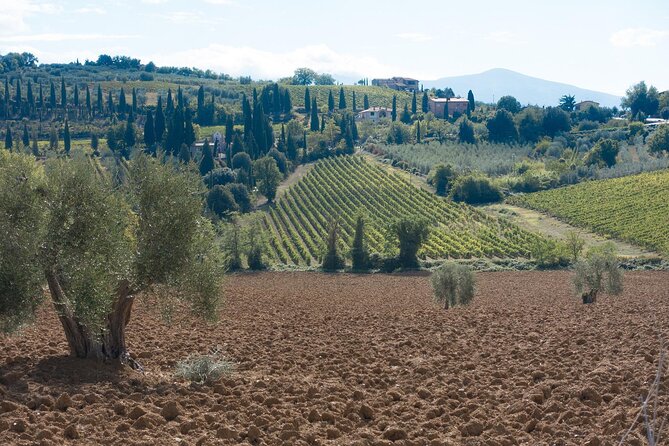 Siena & San Gimignano Private Day Trip From Florence - Guide Information