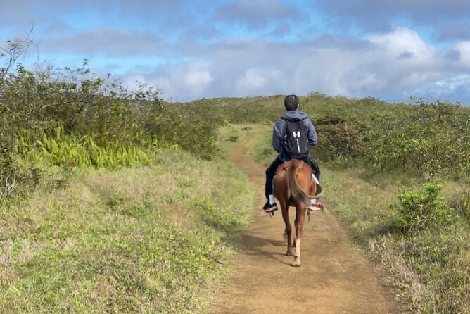 Sierra Negra Volcano Galapagos Horse Riding - Pickup