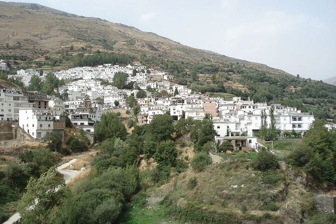 Sierra Nevada Guided Small-Group Adventure Day Trip From Granada - What To Expect