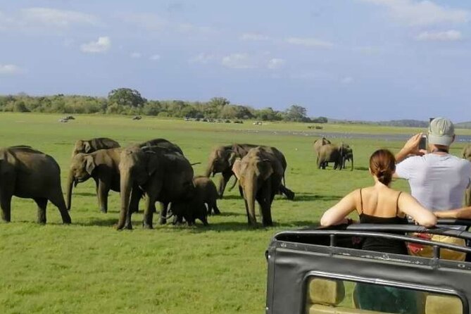 Sigiriya Rock and Minneriya Safari Private Day Tour - Inclusions