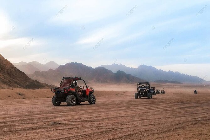 Sinai Desert Private Adventure Family Car Buggy - Sharm El Sheikh - Booking Instructions