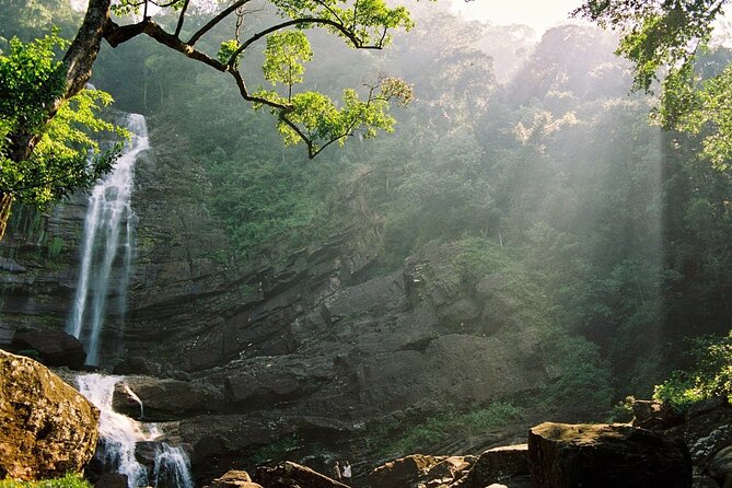 Sinharaja Rain Forest Tour From Hambantota - Pricing and Booking