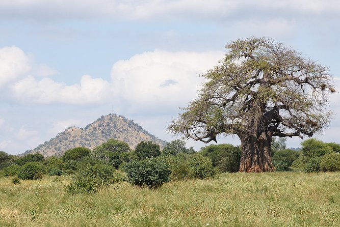 Six Days Big Five Safari - Safety and Accessibility
