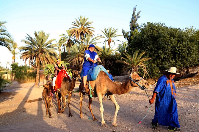 Skip the Line at : Majorelle Garden and Palm Garden. - Cancellation Policy