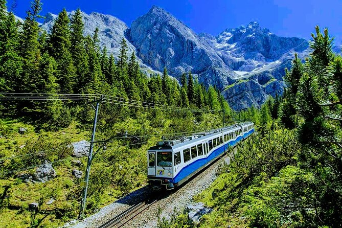 Skip the Line NEUSCHWANSTEIN and Mt. Zugspitze Private Deluxe Tour - Optional Extras and Exclusive Services